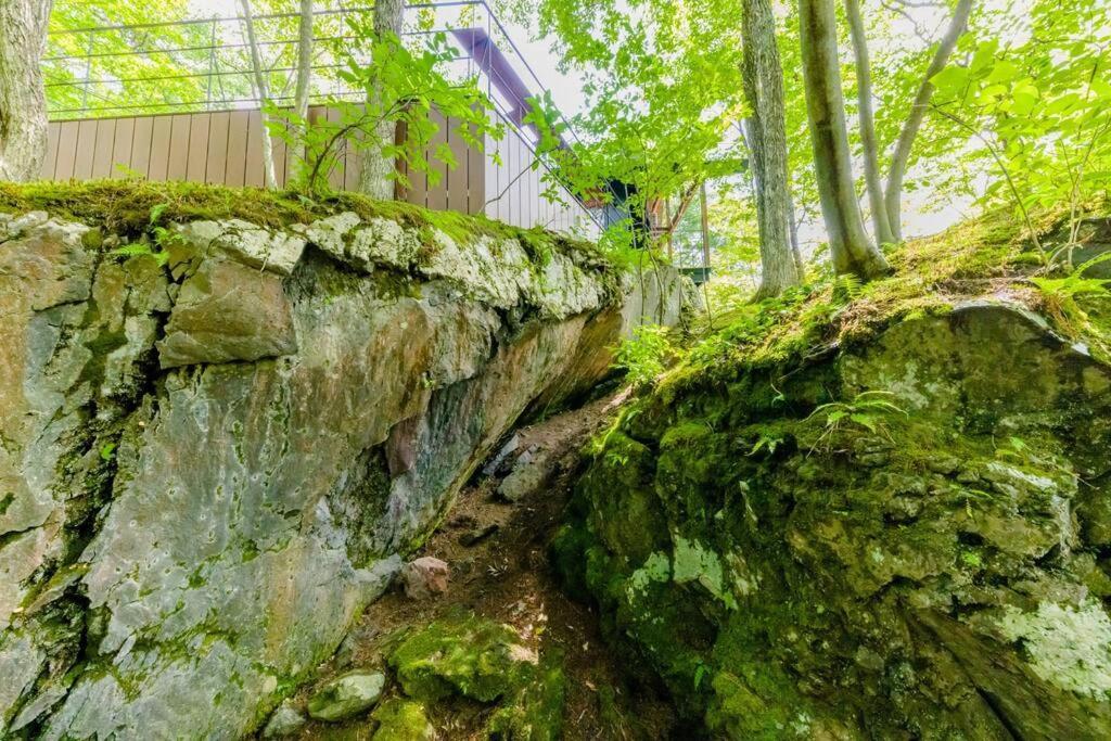 ロックフォレスト北軽井沢别墅 外观 照片